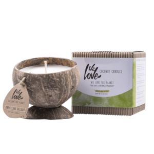 Coconut candle &ndash; Darjeeling Delight