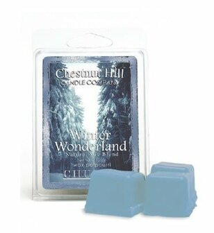 Chestnut Hill Candles Soja Wax Melt Winter Wonderland