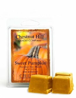 Chestnut Hill Candle Sweet Pumpkin Soja Wax Melt