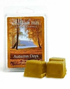 Chestnut Hill Candle Autumn Days Soja Wax Melt